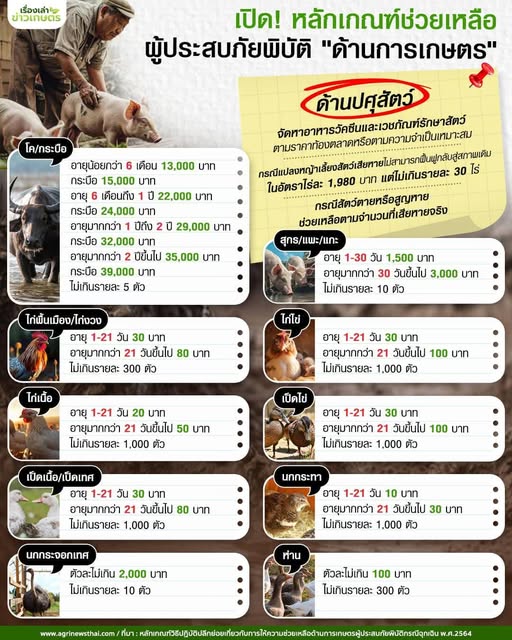 เมื่อเกิดภัยพิบัติด้านปศุสัตว์ เกษตรกรจะได้รับการชดเชยเยียวยาหรือช่วยเหลืออย่างไร 2 541772659 1578064576847252 647413836190476140 n