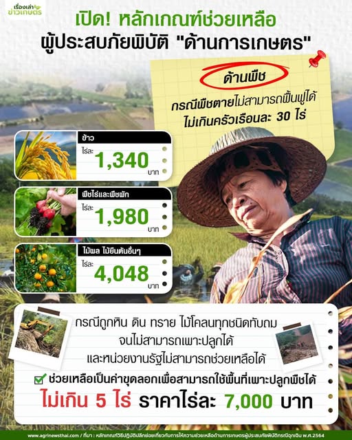 เปิดหลักเกณฑ์ความช่วยเหลือจากภาครัฐกรณีเกษตรกรประสบภัยพิบัติด้านการเกษตร 2 542084896 1578062573514119 1577495239773881462 n 1