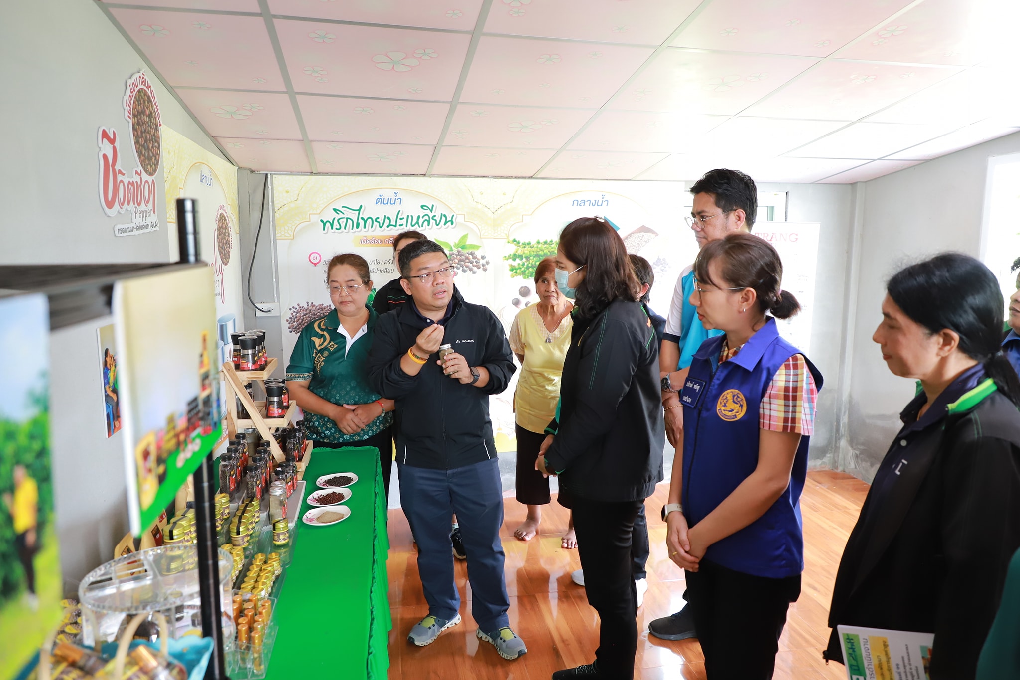 กรมส่งเสริมการเกษตร สร้างมูลค่าเพิ่มพริกไทยปะเหลียน พริกไทยอัตลักษณ์ของจังหวัดตรัง 3 542134715 1151887943713836 8320670120852109483 n