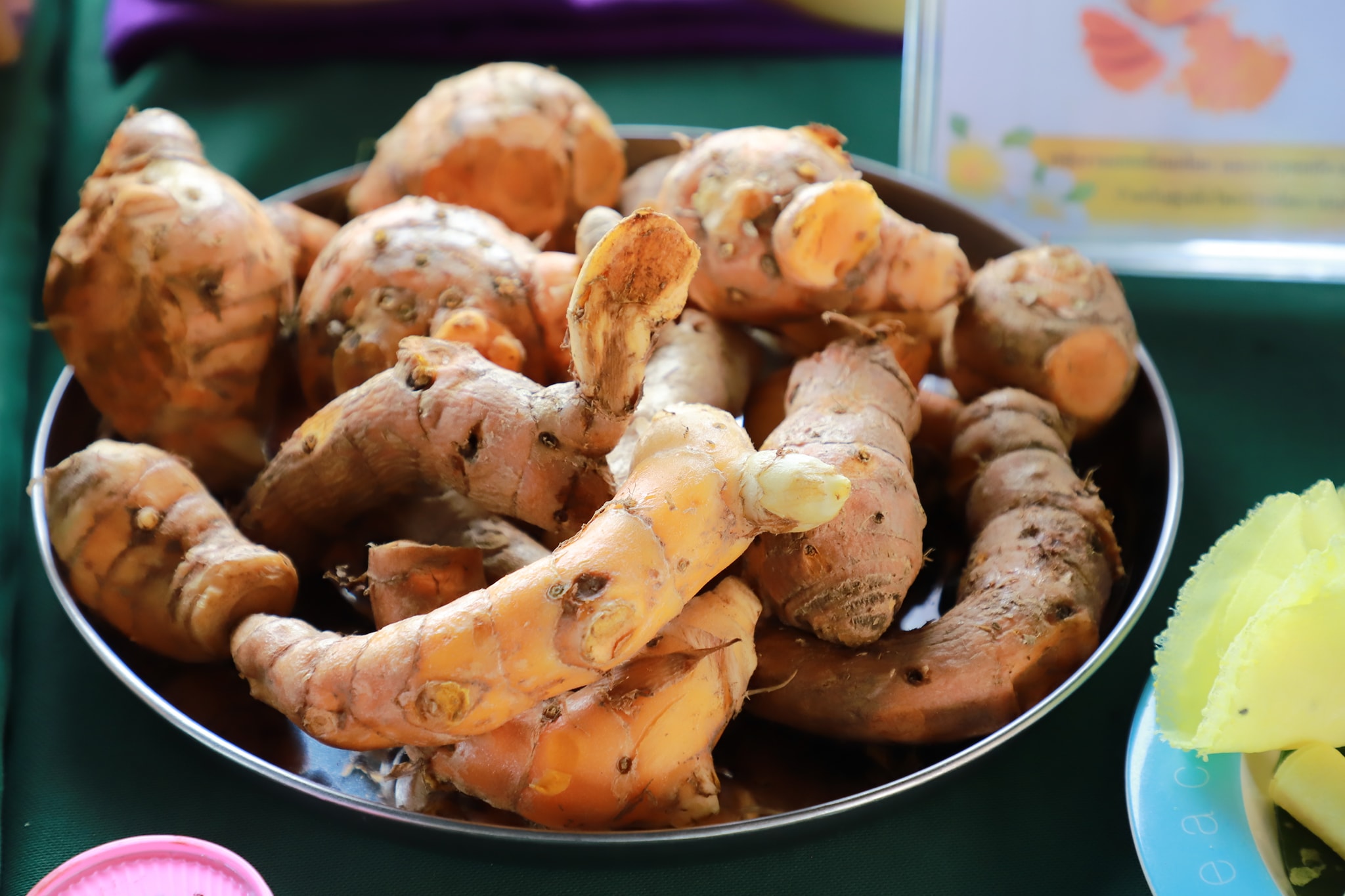 กรมส่งเสริมการเกษตร ร่วมกับ โครงการความร่วมมือระหว่างเยอรมัน – ไทยฯ พร้อมผลักดันให้จังหวัดสตูลเป็นเมืองสมุนไพร ยกระดับการปลูกสมุนไพรคุณภาพเพื่อการเภสัชกรรม ด้วยนวัตกรรมการปลูกขมิ้นชันในกระสอบ 5 542173221 1151159813786649 5865353103185188042 n