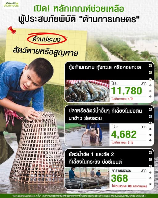 542443013 1578056626848047 153316686251954412 n