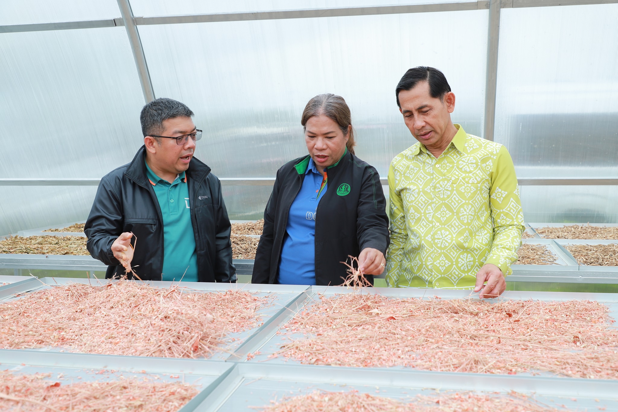 กรมส่งเสริมการเกษตร ร่วมกับ โครงการความร่วมมือระหว่างเยอรมัน – ไทยฯ พร้อมผลักดันให้จังหวัดสตูลเป็นเมืองสมุนไพร ยกระดับการปลูกสมุนไพรคุณภาพเพื่อการเภสัชกรรม ด้วยนวัตกรรมการปลูกขมิ้นชันในกระสอบ 6 542771671 1151142833788347 1960394746071370583 n