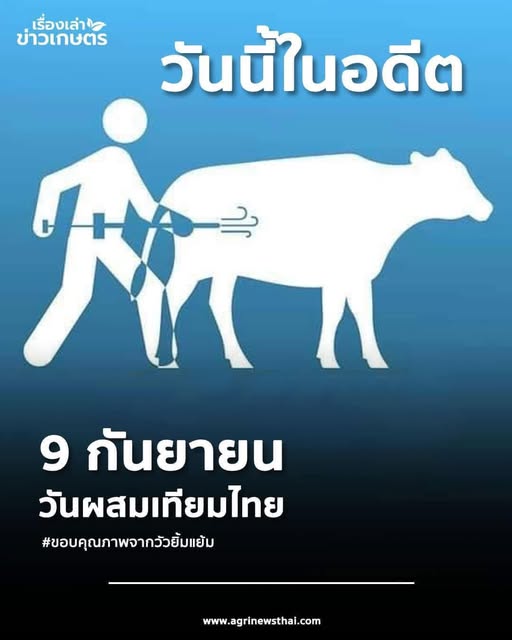 วันนี้ในอดีต 9 กันยายน วันผสมเทียมไทย 2 545280271 1583026346351075 6800752128245675178 n