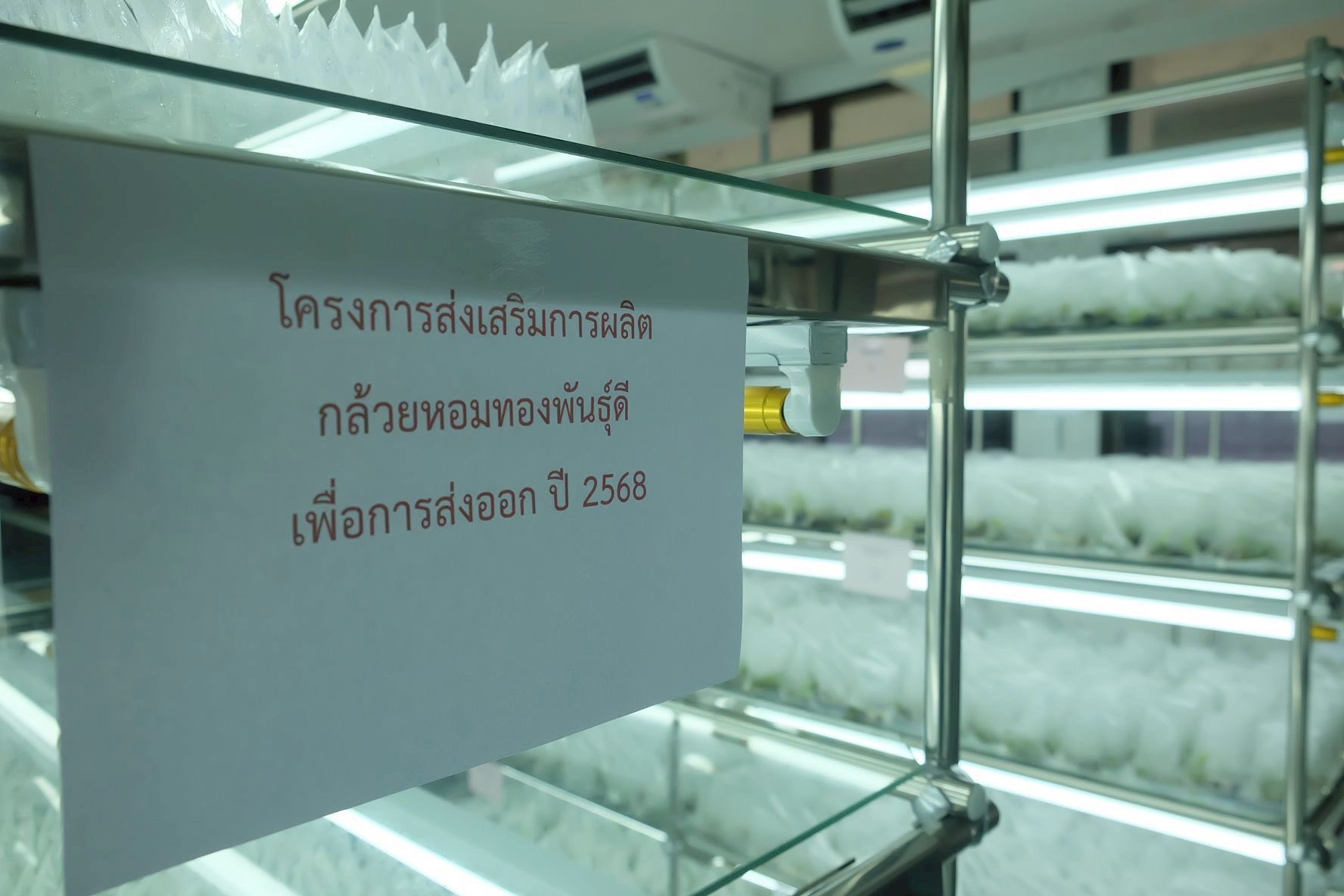 รองอธิบดีกรมส่งเสริมการเกษตรลงพื้นที่ติดตามผลการปฏิบัติงานเจ้าหน้าที่ศูนย์ขยายพันธุ์พืชที่ 2 จังหวัดตรัง พร้อมมอบนโยบายในการขับเคลื่อนงานในปีงบฯ 69 7 545730559 1155707943331836 2088855170386469353 n