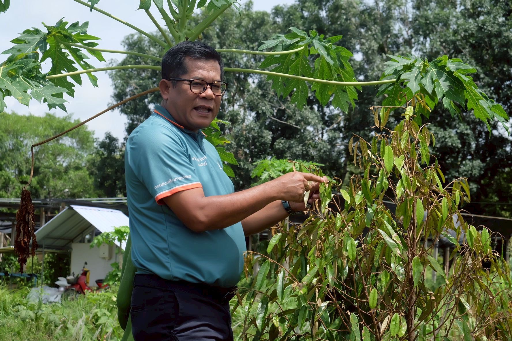 รองอธิบดีกรมส่งเสริมการเกษตรลงพื้นที่ติดตามผลการปฏิบัติงานเจ้าหน้าที่ศูนย์ขยายพันธุ์พืชที่ 2 จังหวัดตรัง พร้อมมอบนโยบายในการขับเคลื่อนงานในปีงบฯ 69 2 545831189 1155707886665175 5998768938416091646 n