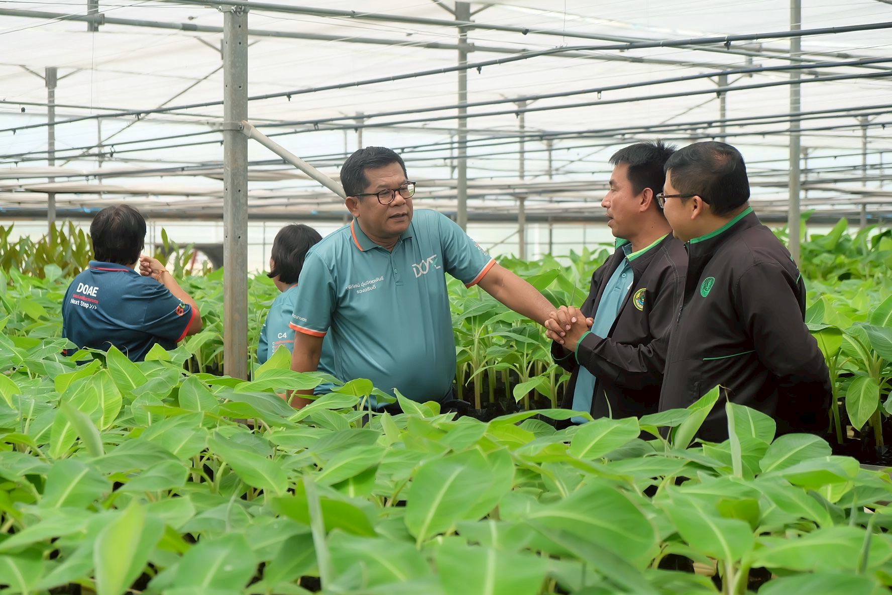 รองอธิบดีกรมส่งเสริมการเกษตรลงพื้นที่ติดตามผลการปฏิบัติงานเจ้าหน้าที่ศูนย์ขยายพันธุ์พืชที่ 2 จังหวัดตรัง พร้อมมอบนโยบายในการขับเคลื่อนงานในปีงบฯ 69 3 546761821 1155706349998662 8555155575294775367 n