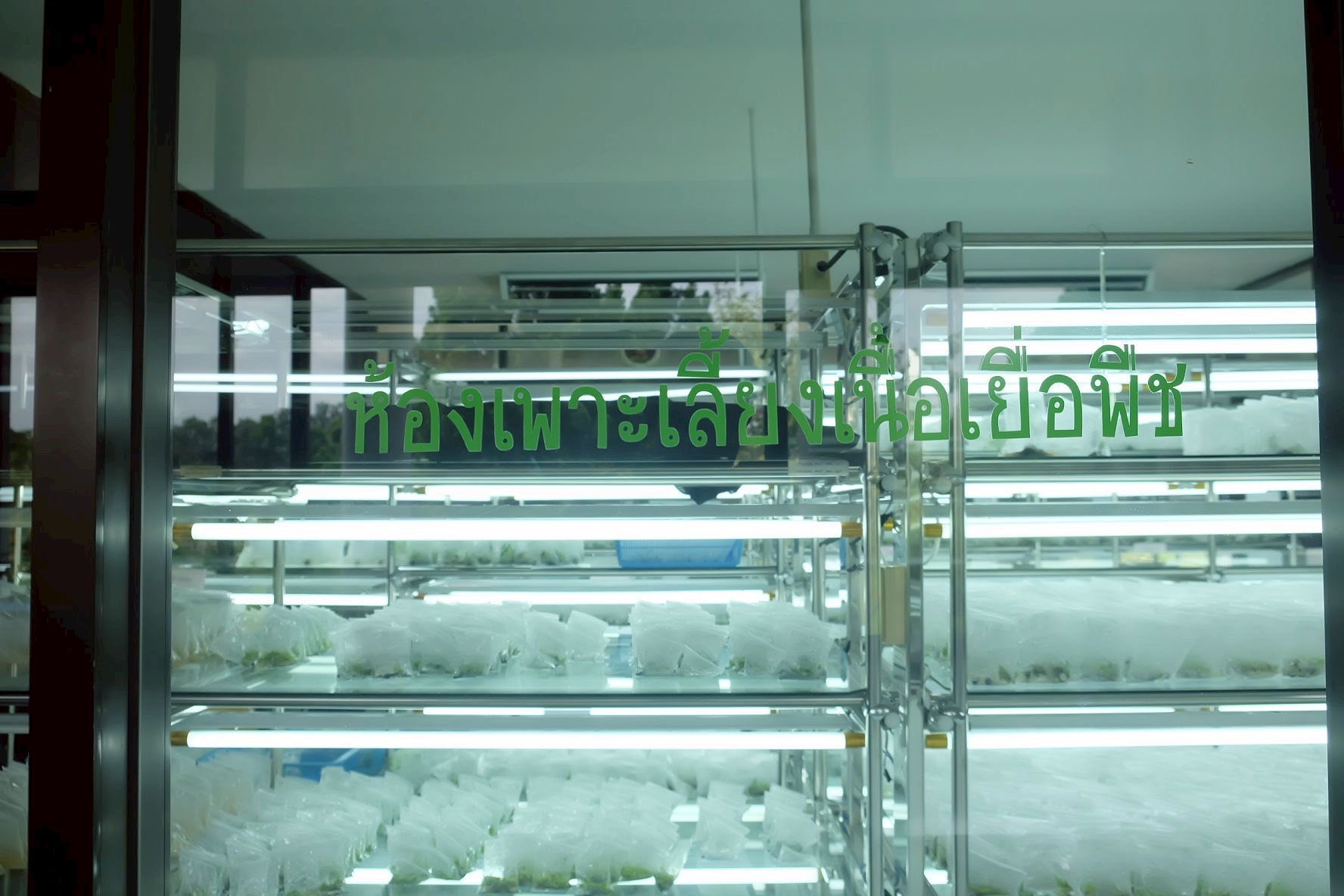 รองอธิบดีกรมส่งเสริมการเกษตรลงพื้นที่ติดตามผลการปฏิบัติงานเจ้าหน้าที่ศูนย์ขยายพันธุ์พืชที่ 2 จังหวัดตรัง พร้อมมอบนโยบายในการขับเคลื่อนงานในปีงบฯ 69 6 546935653 1155708013331829 357618949727007206 n