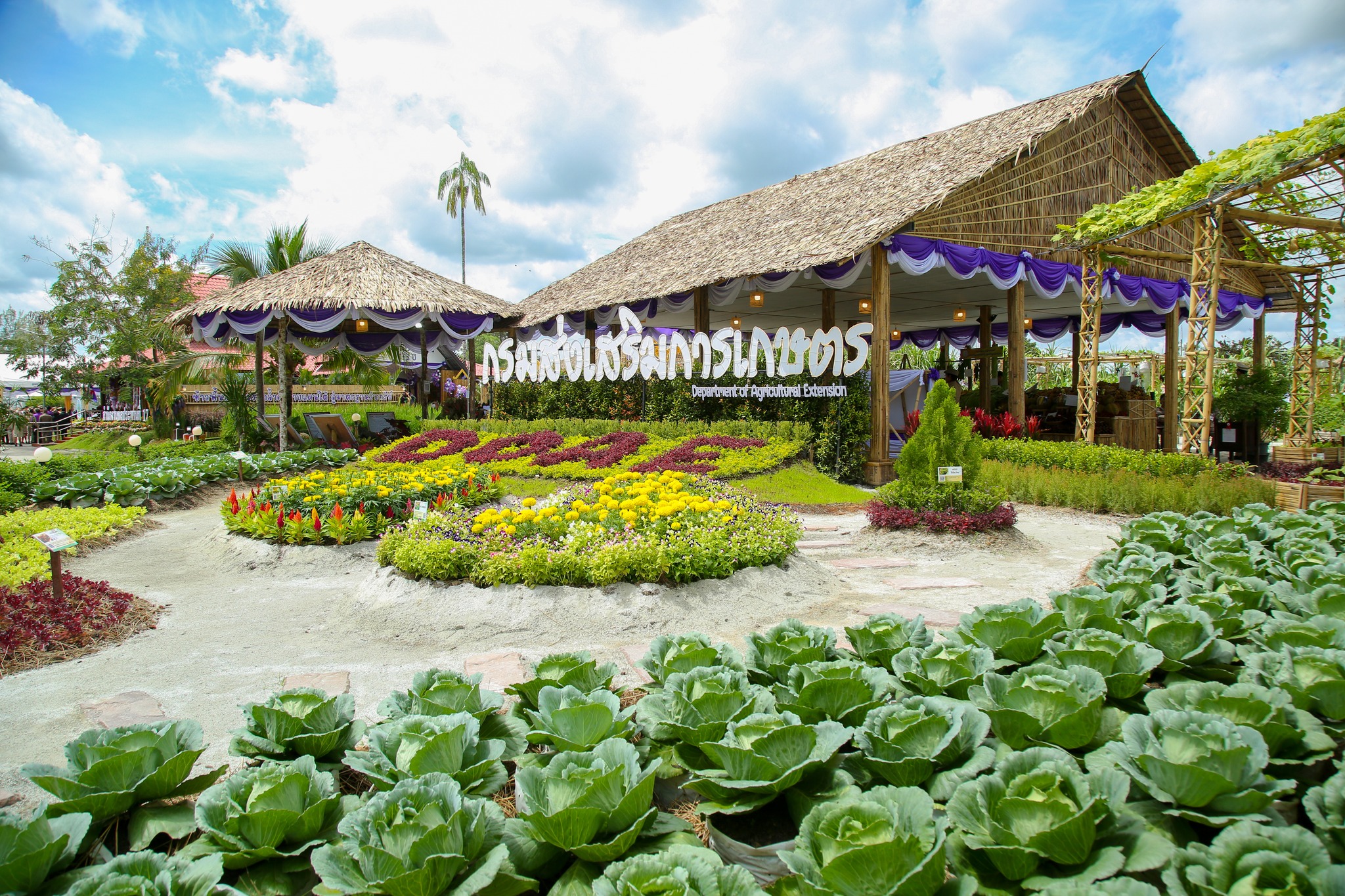 547500730 1160746592827971 86112067051561154 n