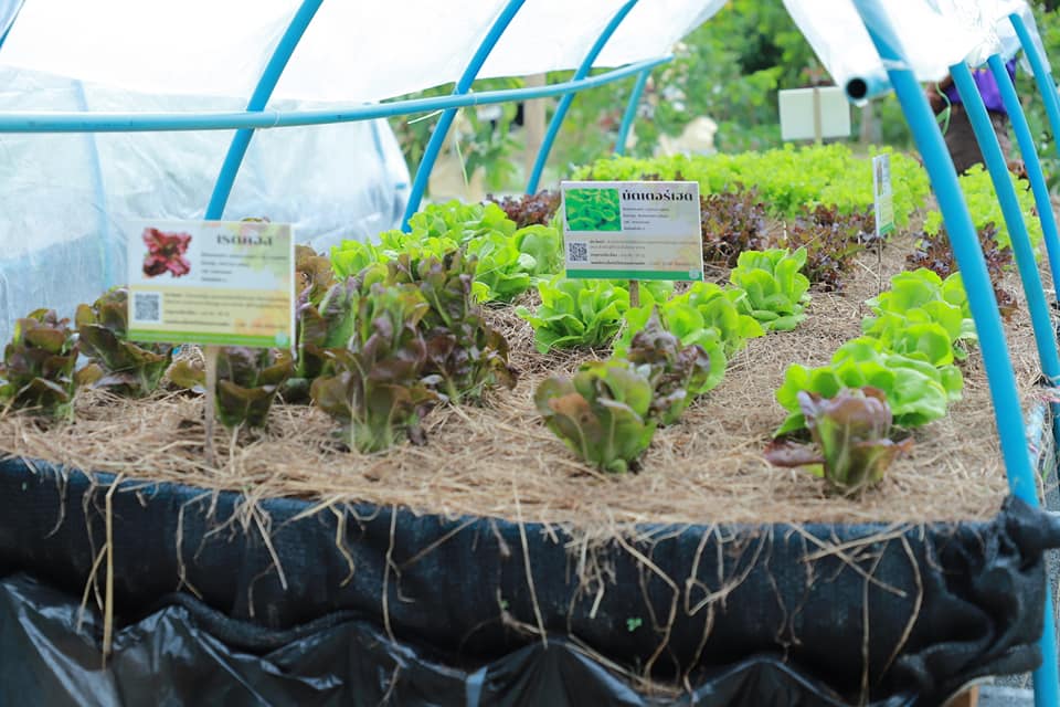 547863720 1159305372972093 4248420447852230695 n