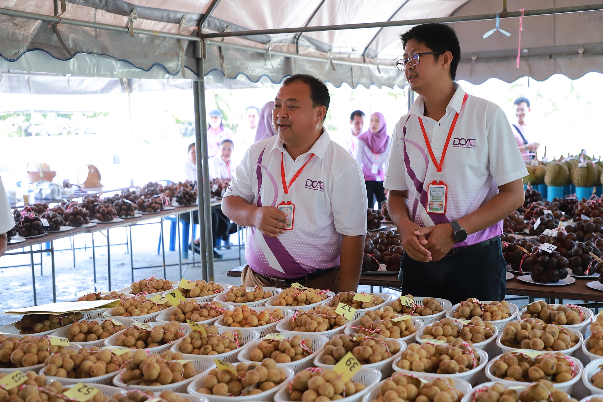 548714176 1159310806304883 6167958649581263622 n