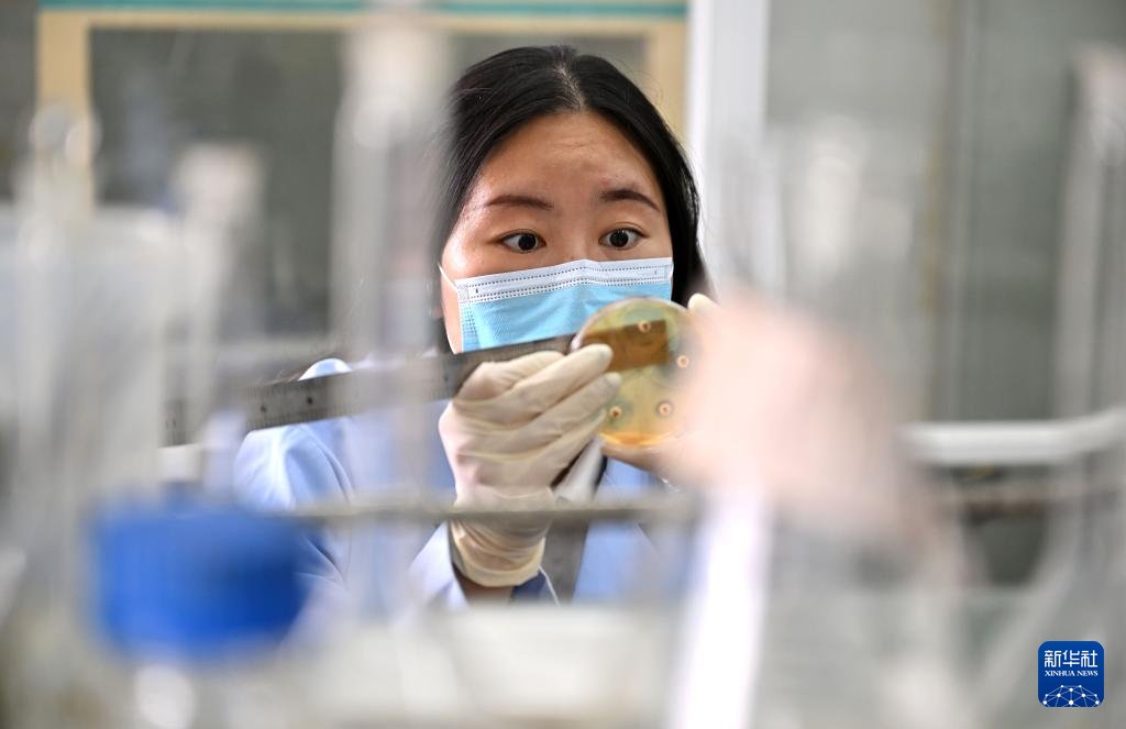 นักวิจัยจีนเพาะเลี้ยง 'ทูน่าครีบเหลือง' สำเร็จ ก่อตั้งฐานสาธิตกลางทะเล แห่งแรกของประเทศ 6 550407225 1243839071118467 5843871186518998107 n