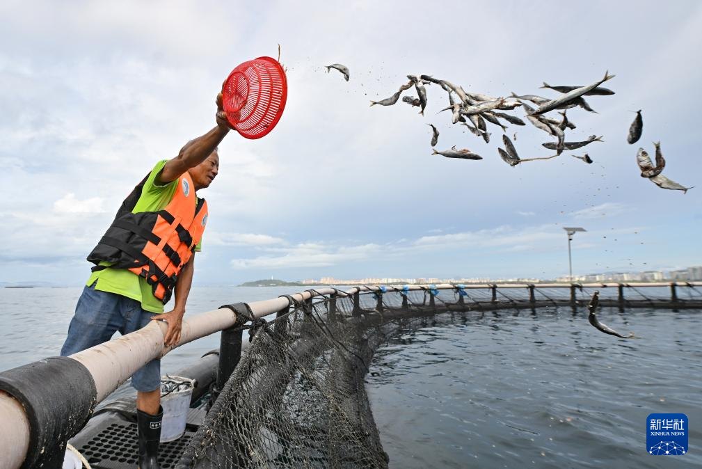 นักวิจัยจีนเพาะเลี้ยง 'ทูน่าครีบเหลือง' สำเร็จ ก่อตั้งฐานสาธิตกลางทะเล แห่งแรกของประเทศ 3 550548804 1243839097785131 6784560155688653645 n