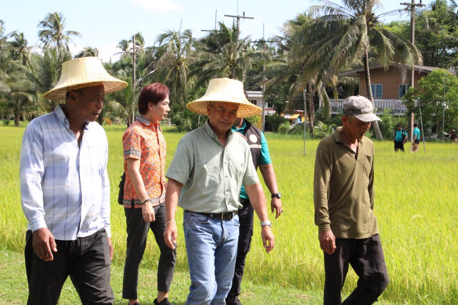 รองอธิบดีกรมการข้าว เยี่ยมชมศูนย์ข้าวชุมชน ต.เลม็ด ชูความเข้มแข็ง แปรรูปข้าวเจาะตลาดกลุ่มรักสุขภาพ พร้อมเชื่อมโยงกับความต้องการของตลาด 6 553255251 1323722253124233 3501604555615007693 n