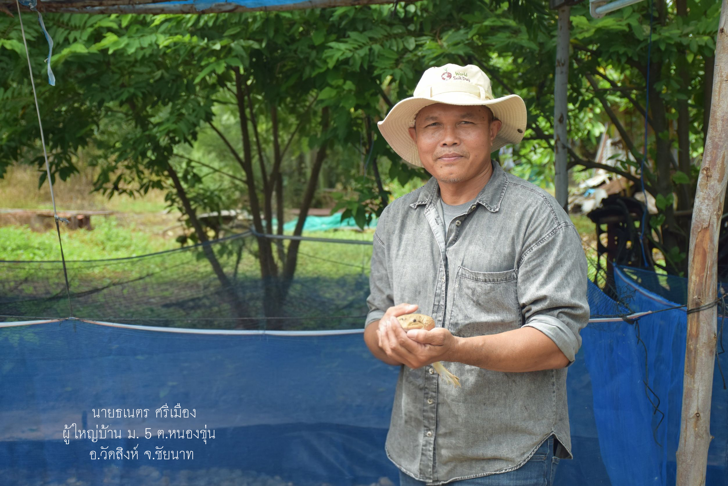 กรมประมง ส่งเสริมเกษตรกร จ.ชัยนาท เลี้ยงกบนาสร้างอาชีพเสริม เพิ่มรายได้ ระหว่างพักชำระหนี้กับ ธ.ก.ส. 5 591029