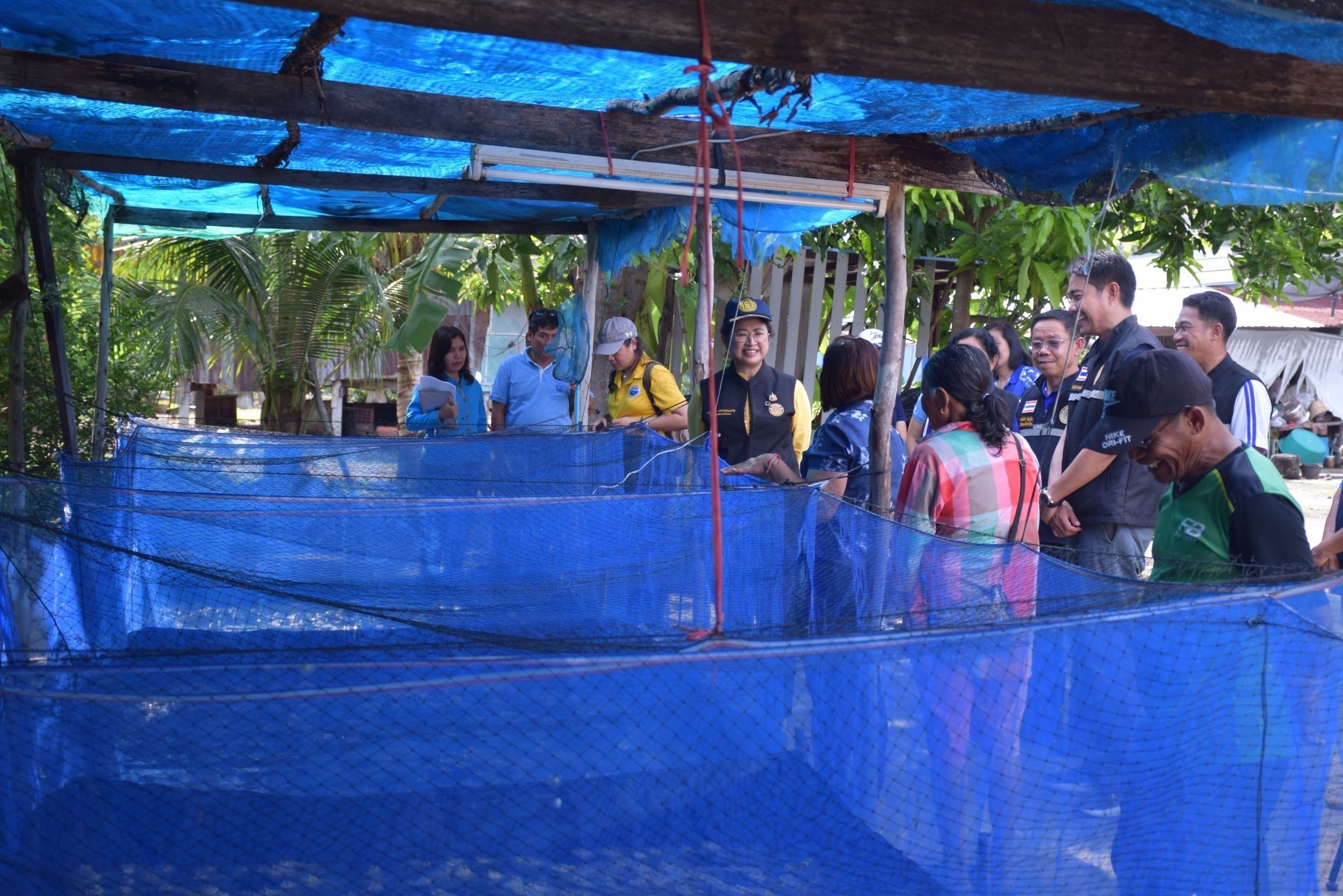 กรมประมง ส่งเสริมเกษตรกร จ.ชัยนาท เลี้ยงกบนาสร้างอาชีพเสริม เพิ่มรายได้ ระหว่างพักชำระหนี้กับ ธ.ก.ส. 6 591081