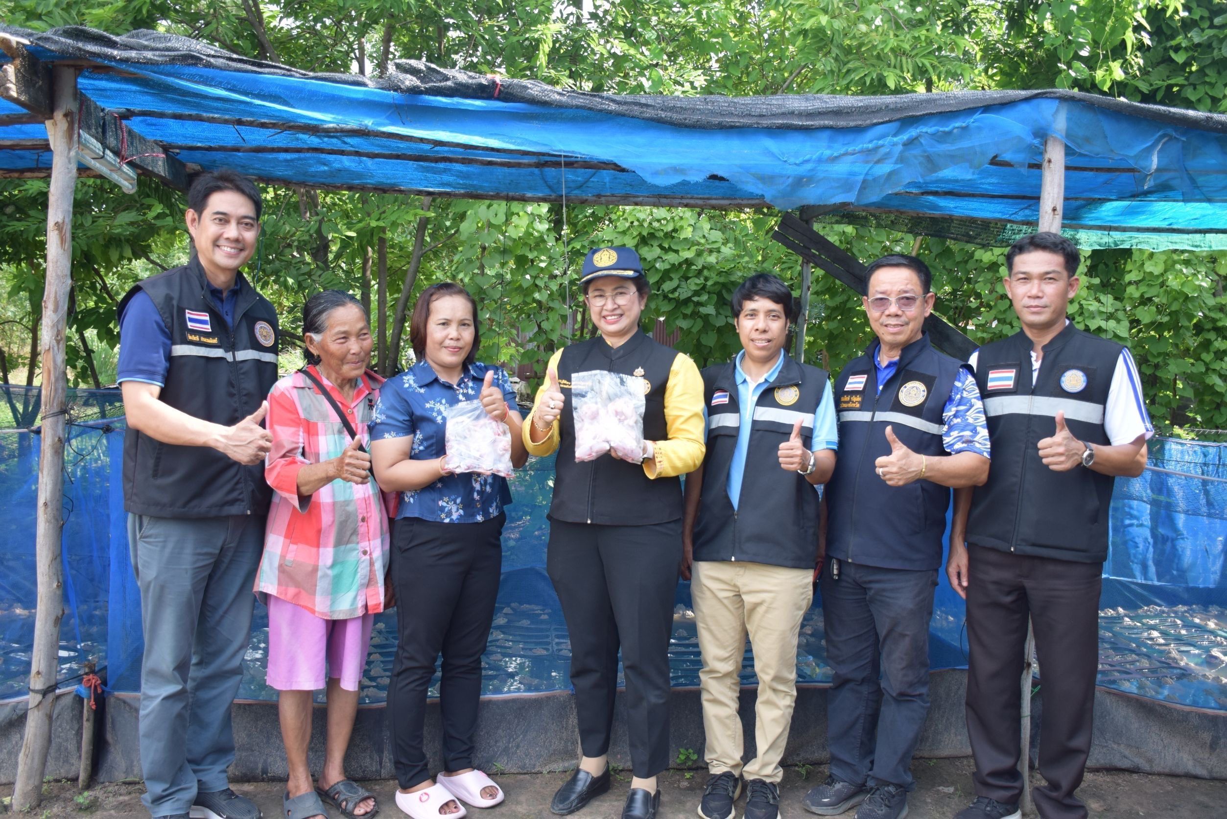 กรมประมง ส่งเสริมเกษตรกร จ.ชัยนาท เลี้ยงกบนาสร้างอาชีพเสริม เพิ่มรายได้ ระหว่างพักชำระหนี้กับ ธ.ก.ส. 8 591082