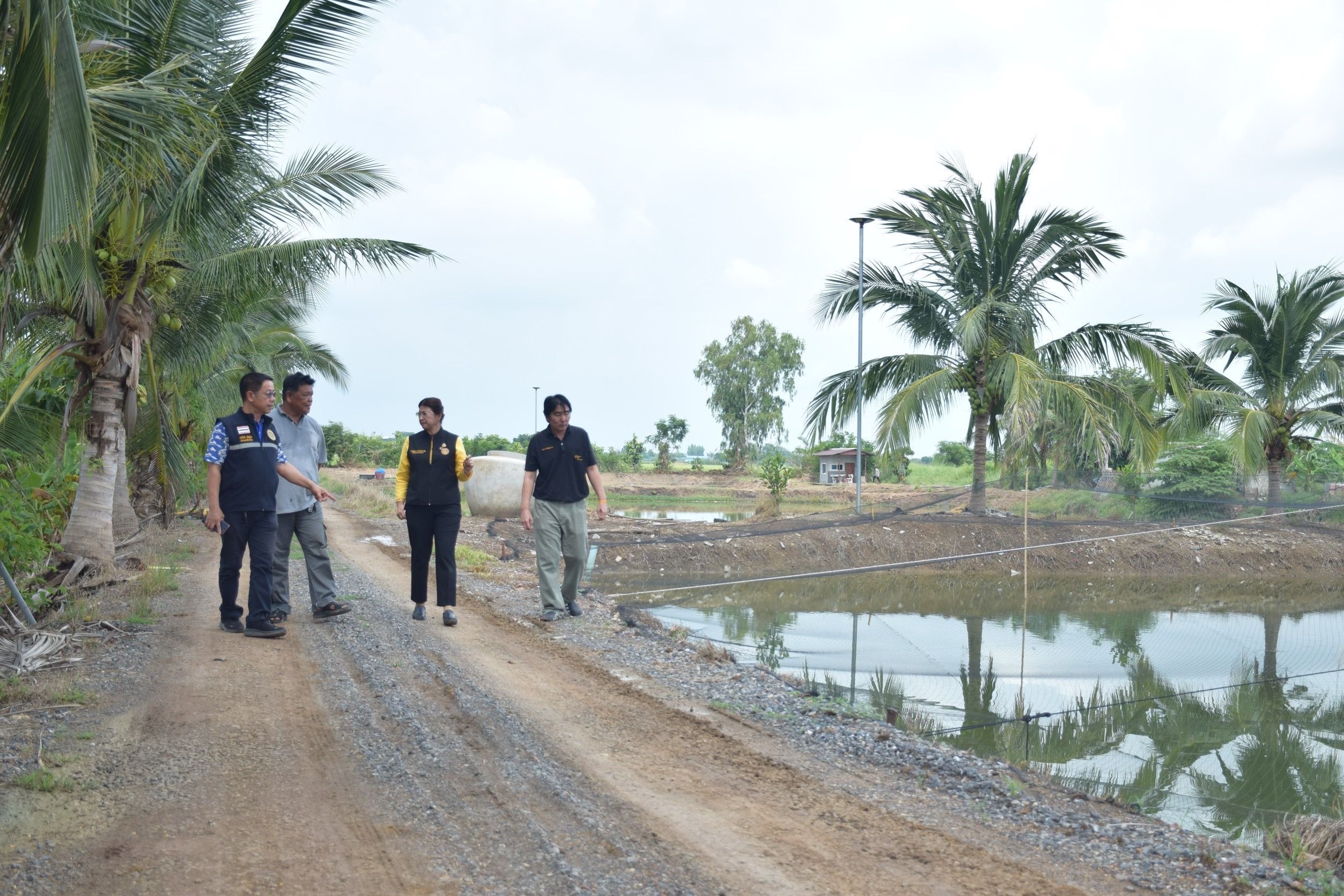 กรมประมง โชว์เคสความสำเร็จ แปลงใหญ่ “ปลากราย จ.ชัยนาท”ใช้หลักการตลาดนำ นวัตกรรมเสริม เพิ่มมูลค่า ช่วยยกระดับสินค้าได้อย่างครบวงจรพร้อมต่อยอดสู่ 1 ท้องถิ่น 1 สินค้าเกษตรมูลค่าสูง 6 596363