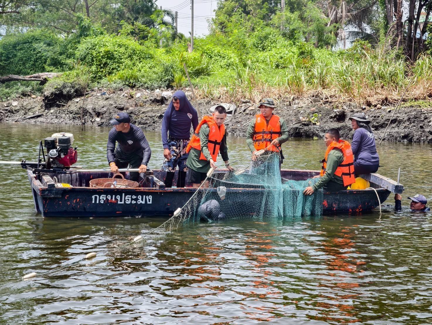 โฆษกกรมประมง แจงชัดแผนปฏิบัติการแก้ไขปัญหาการแพร่ระบาดของปลาหมอคางดำพ.ศ. 2567 – 2570กรมประมงดำเนินการอย่างต่อเนื่อง ปัจจุบันสถานการณ์ในหลายพื้นที่เริ่มบรรเทาลงแล้ว 7 603877