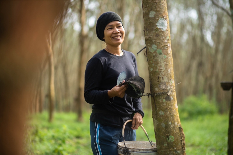 กยท. ทุ่มงบ 2,800 ล้านบาท ช่วยชาวสวนยางที่ยื่นขอโค่นยางฯ ด้วยทุนตนเองไว้แล้ว พร้อมจ่ายครบ ภายใน 15 ก.ย. นี้ 3 680900002540
