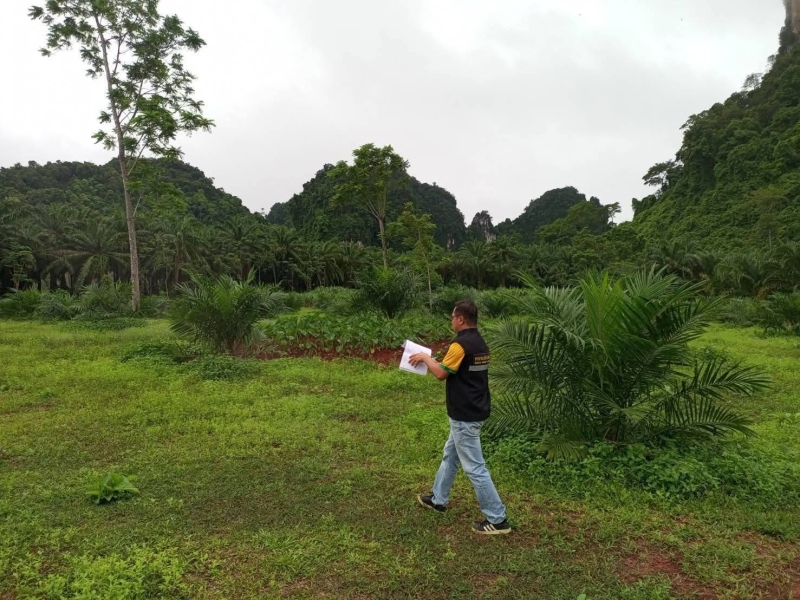 กยท. ทุ่มงบ 2,800 ล้านบาท ช่วยชาวสวนยางที่ยื่นขอโค่นยางฯ ด้วยทุนตนเองไว้แล้ว พร้อมจ่ายครบ ภายใน 15 ก.ย. นี้ 12 680900002547