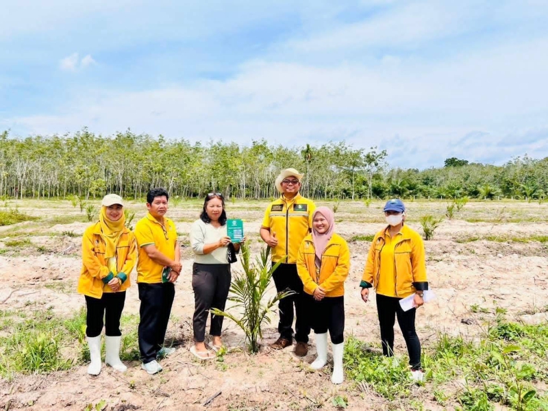 กยท. ทุ่มงบ 2,800 ล้านบาท ช่วยชาวสวนยางที่ยื่นขอโค่นยางฯ ด้วยทุนตนเองไว้แล้ว พร้อมจ่ายครบ ภายใน 15 ก.ย. นี้ 6 680900002549