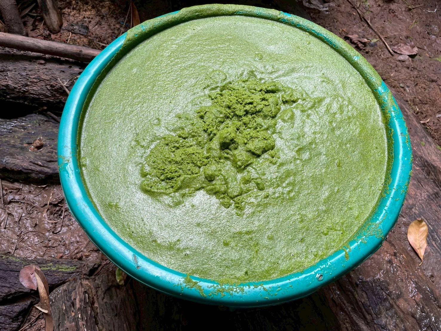 สศท.5 หนุน 'ผำ' อาหารแห่งอนาคต สู่โปรตีนทางเลือกยุคใหม่ ตามนโยบายเกษตรมูลค่าสูง 3 76503 0