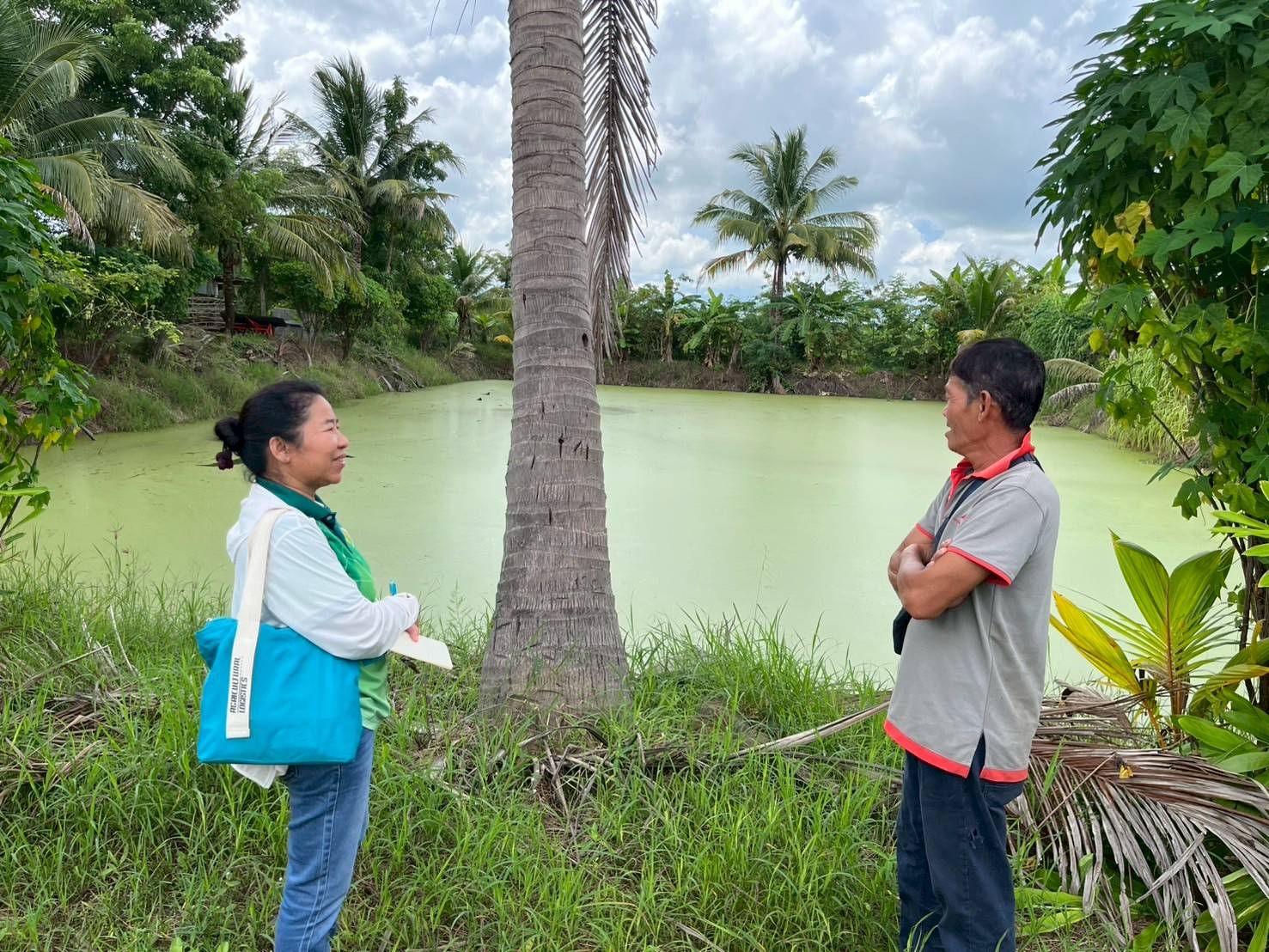 สศท.5 หนุน 'ผำ' อาหารแห่งอนาคต สู่โปรตีนทางเลือกยุคใหม่ ตามนโยบายเกษตรมูลค่าสูง 6 76505 0