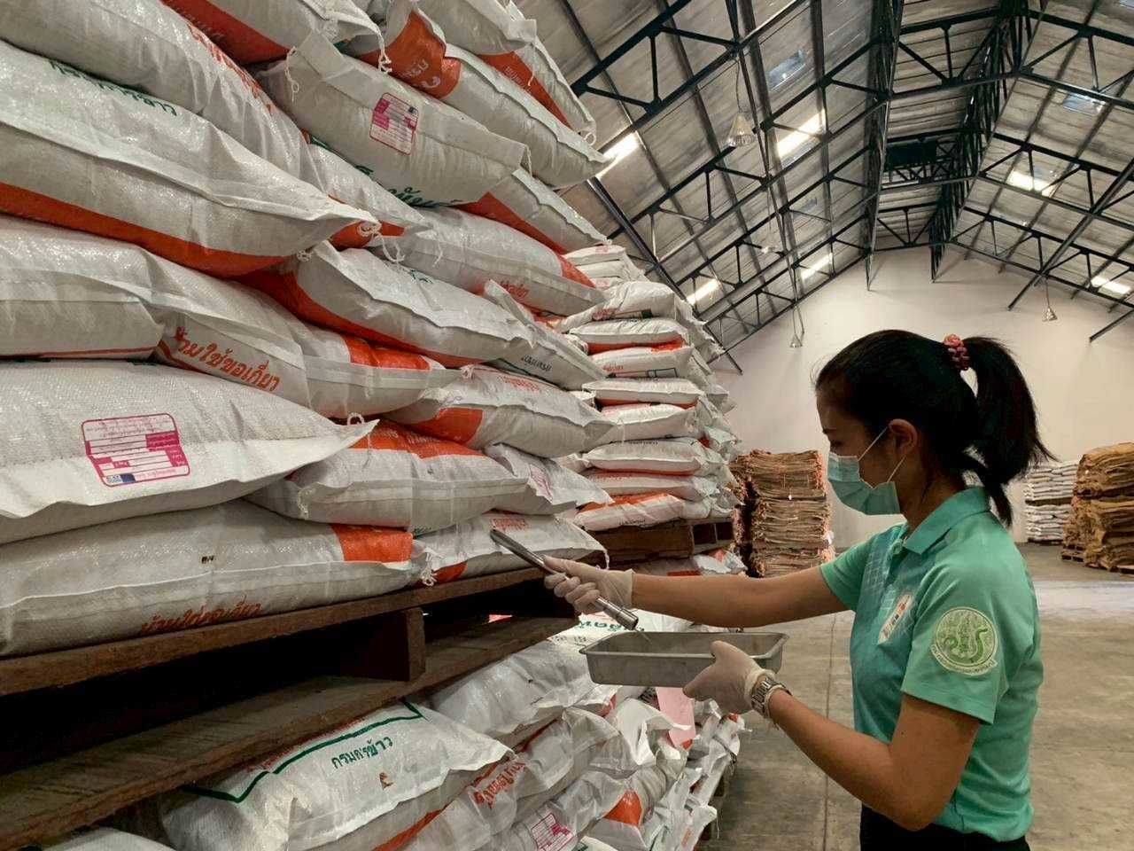 เมล็ดพันธุ์คุณภาพดี ลดต้นทุน เพิ่มผลผลิต ตอบโจทย์ตลาดโลก 3 929307