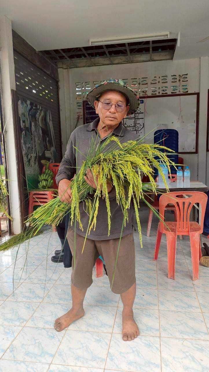 เมล็ดพันธุ์คุณภาพดี ลดต้นทุน เพิ่มผลผลิต ตอบโจทย์ตลาดโลก 6 929311