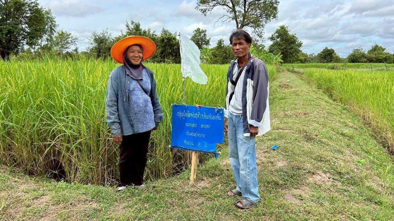 เมล็ดพันธุ์คุณภาพดี ลดต้นทุน เพิ่มผลผลิต ตอบโจทย์ตลาดโลก 8 929313