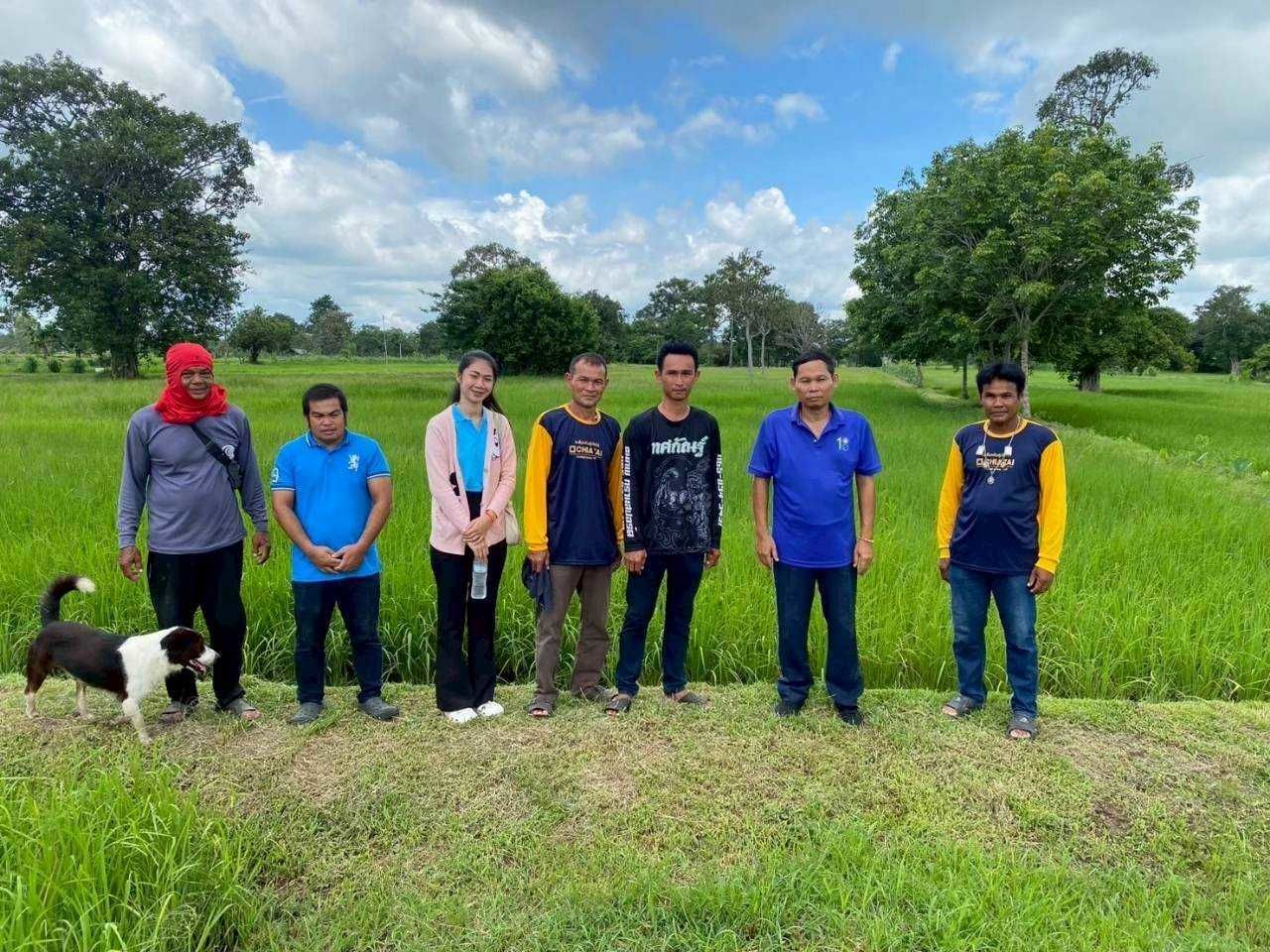 เมล็ดพันธุ์คุณภาพดี ลดต้นทุน เพิ่มผลผลิต ตอบโจทย์ตลาดโลก 11 929316