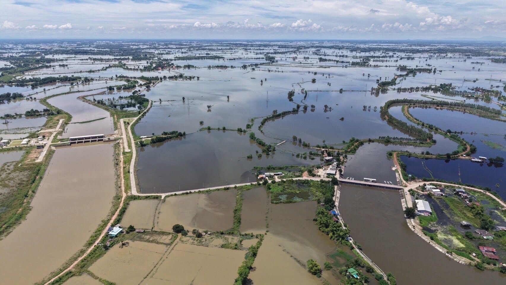 ทุ่งบางระกำ เก็บน้ำเกือบเต็ม หน่วงน้ำบรรเทาผลกระทบลุ่มเจ้าพระยาตอนล่าง 3 935310