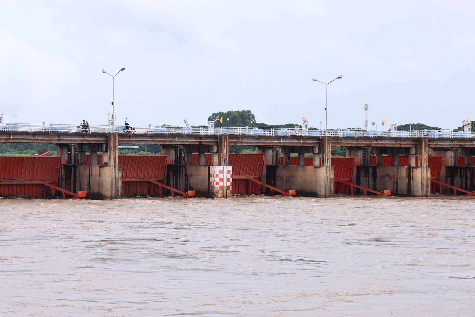 รองนายกฯ “ธรรมนัส” รุดดูน้ำเจ้าพระยา ป่าสัก สั่งเร่งกำจัดผักตบชวา 6 939339