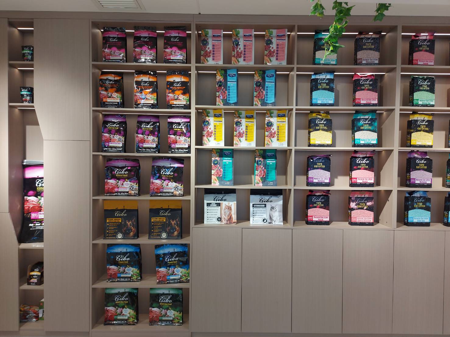 เรื่องเล่าจากเมืองจีนโดย ดร.เล็ก EP.03 จีน กับอุตสาหกรรมอาหารสัตว์เลี้ยง 6 979566