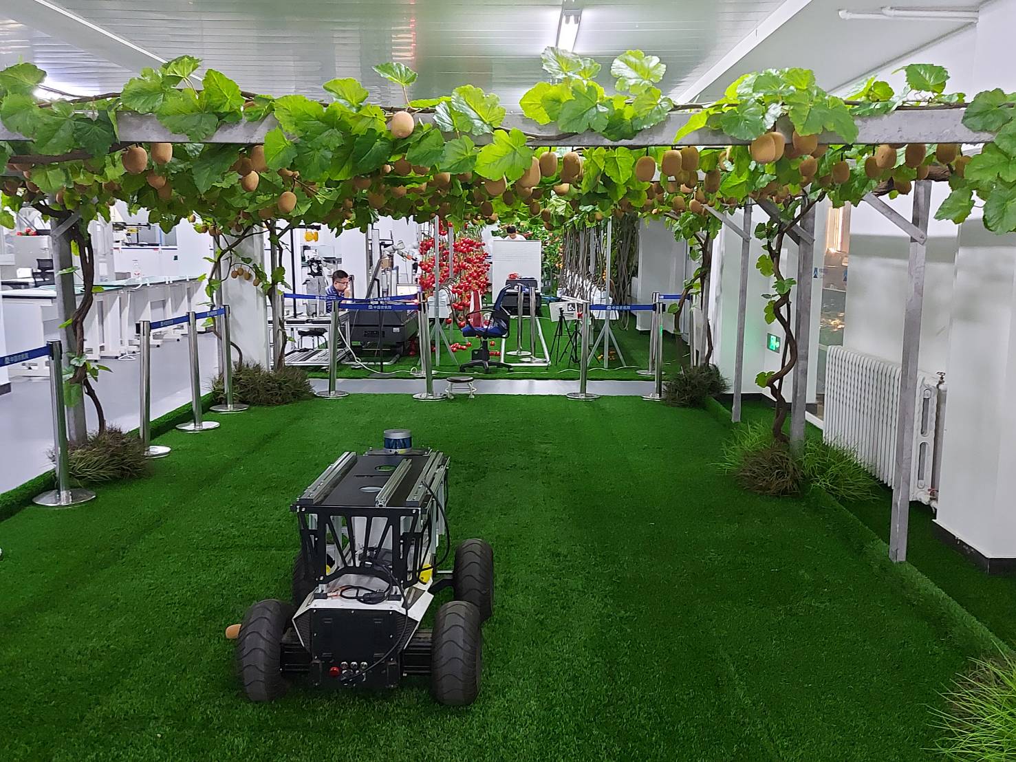 EP.04 เรื่องเล่าจากเมืองจีน โดย ดร.เล็ก 980275