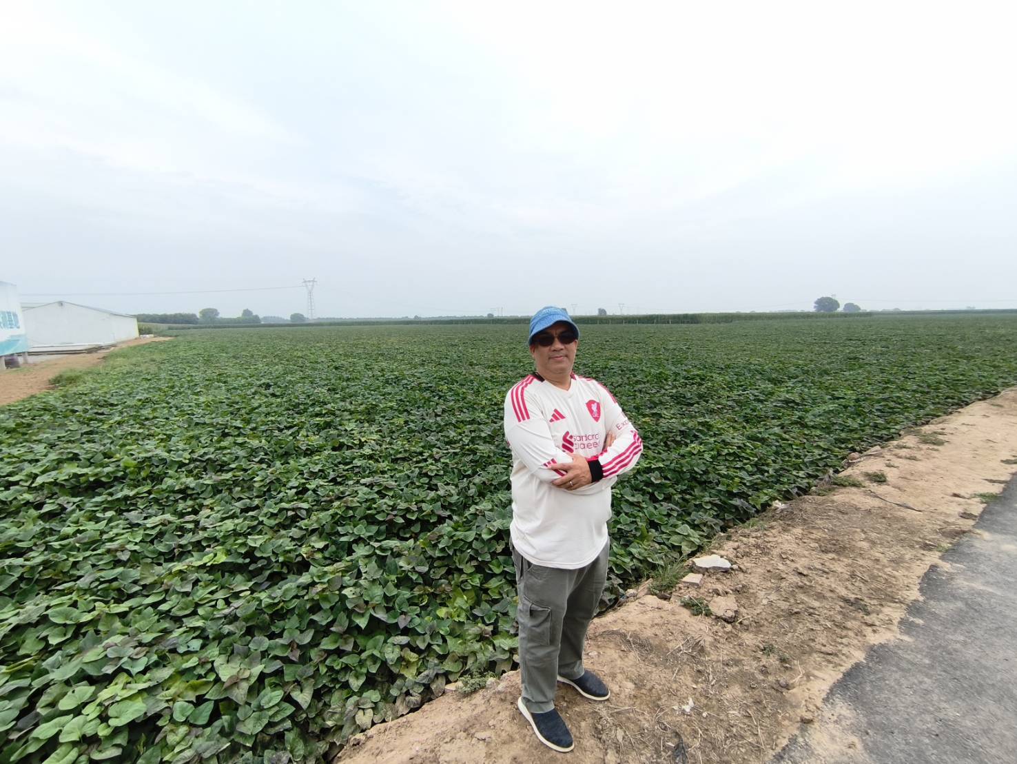 จากสหกรณ์ต้นน้ำสู่ผลิตภัณฑ์ เส้นทางแห่งคุณค่าของข้าวโพดจีน 2 98051