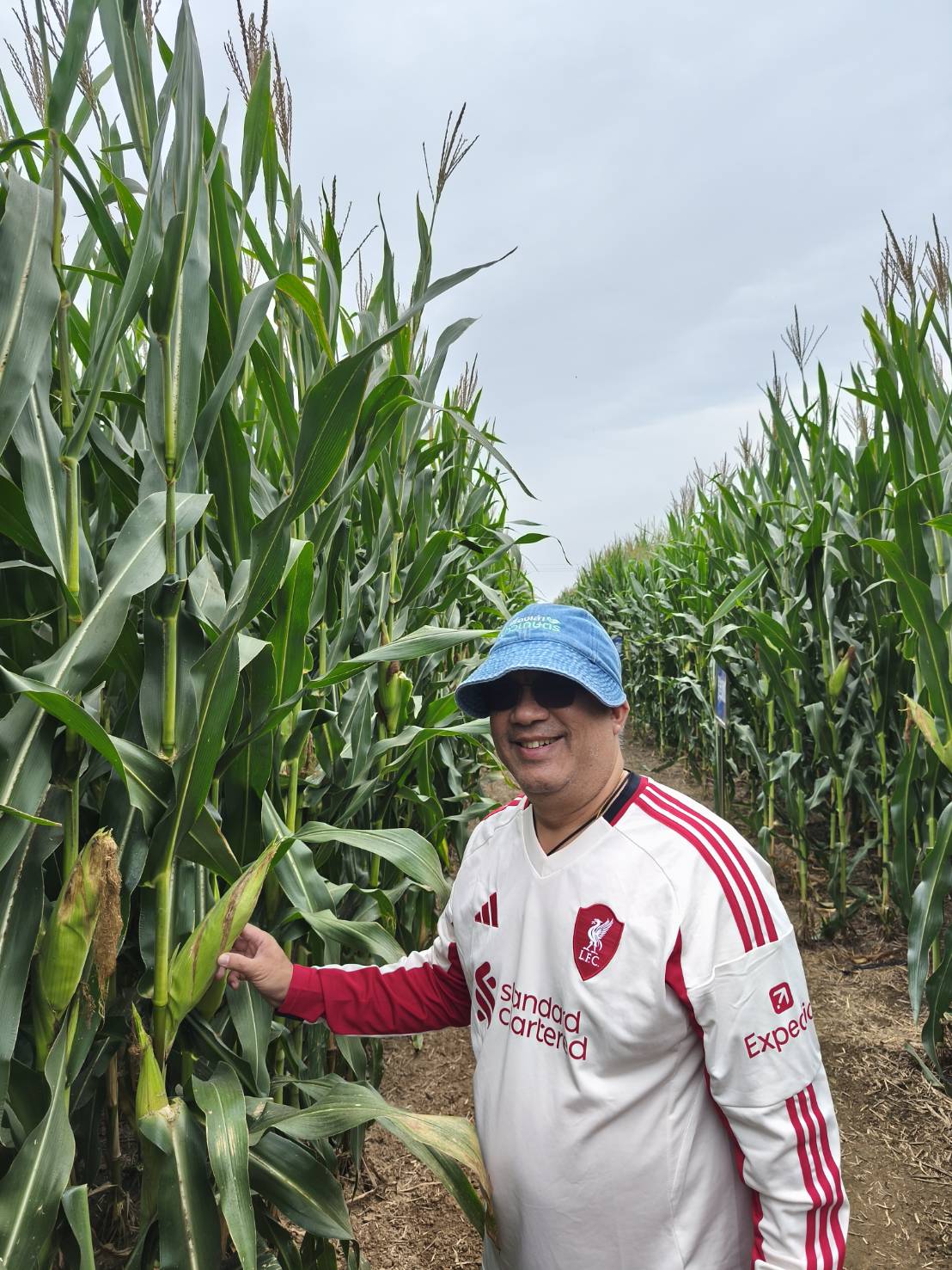 จากสหกรณ์ต้นน้ำสู่ผลิตภัณฑ์ เส้นทางแห่งคุณค่าของข้าวโพดจีน 3 98054