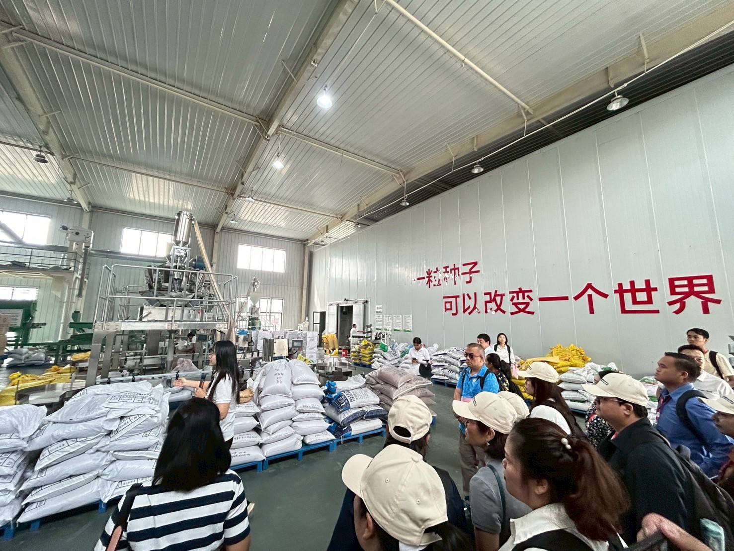 เรื่องเล่าจากเมืองจีน โดย ดร.เล็ก EP.05 :อุตสาหกรรม เมล็ดพันธุ์ผักของจีน กรณีศึกษาบริษัท Hebei Jieru Mei Agricultural Technology Dev,elopment Co., Ltd. 7 980791