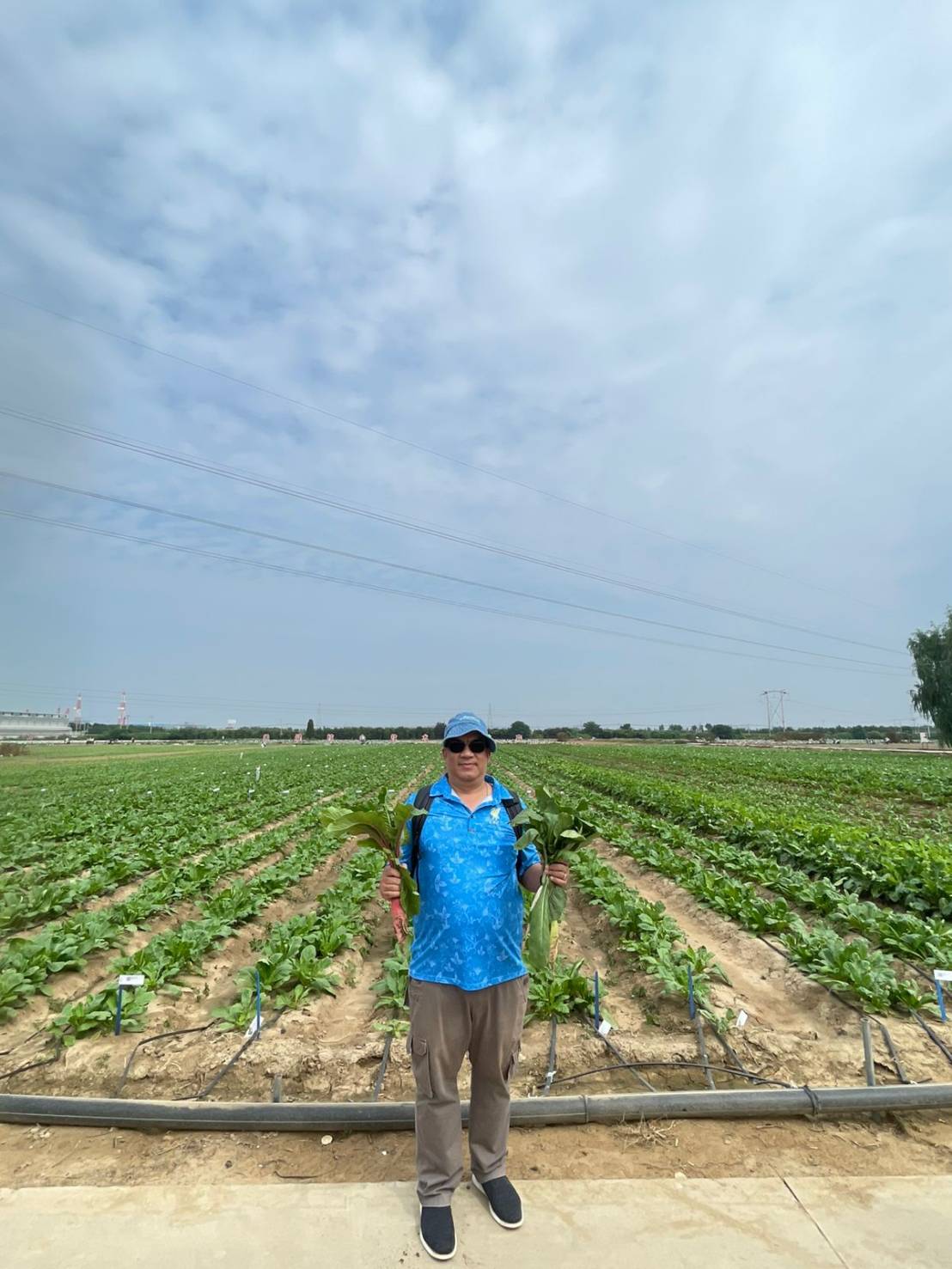 เรื่องเล่าจากเมืองจีน โดย ดร.เล็ก EP.05 :อุตสาหกรรม เมล็ดพันธุ์ผักของจีน กรณีศึกษาบริษัท Hebei Jieru Mei Agricultural Technology Dev,elopment Co., Ltd. 10 980794