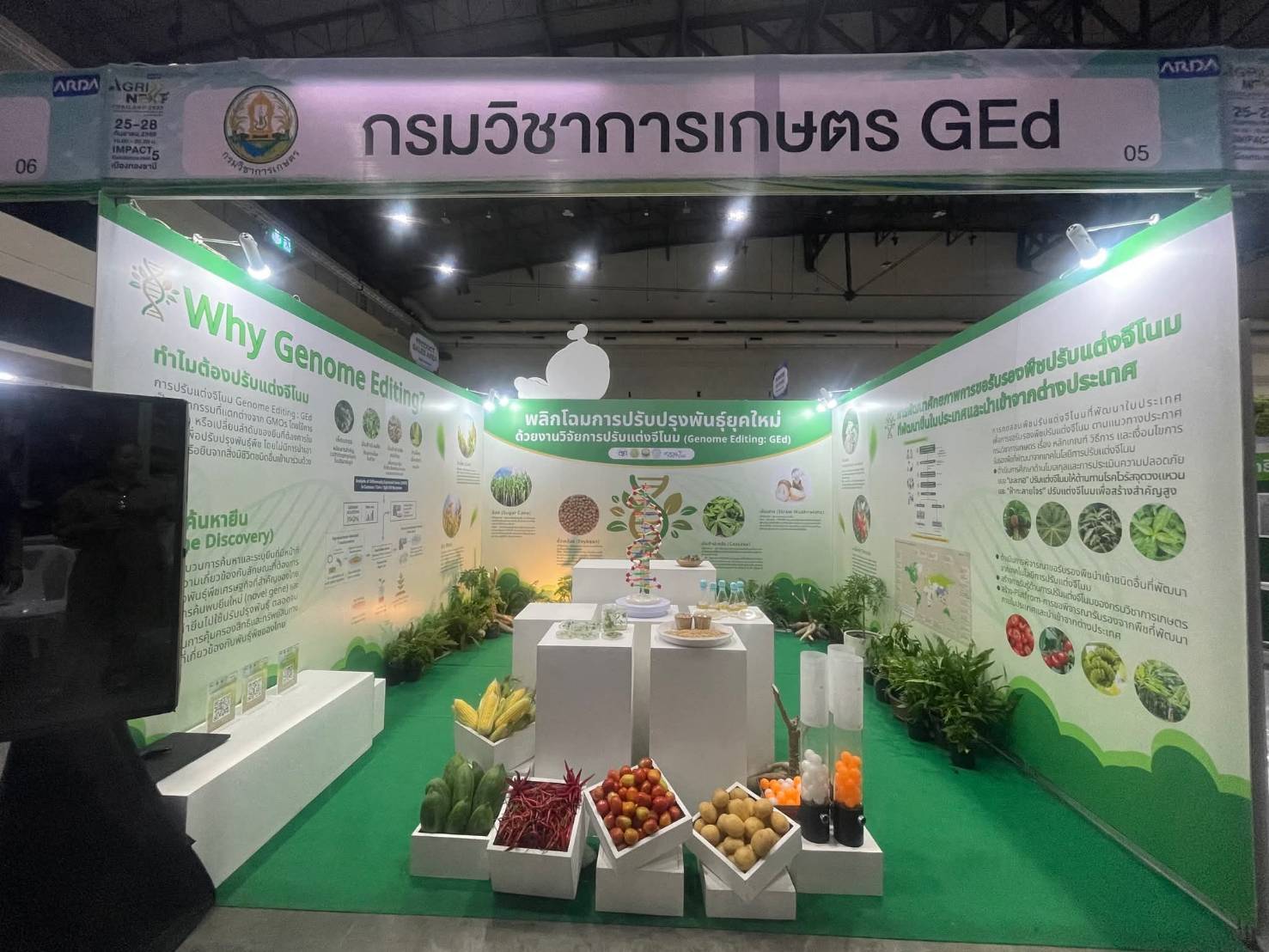 เรื่องเล่าของ ดร.เล็ก “Gene Editing ซ่อมของเดิม เสริมเกษตรไทย 987848