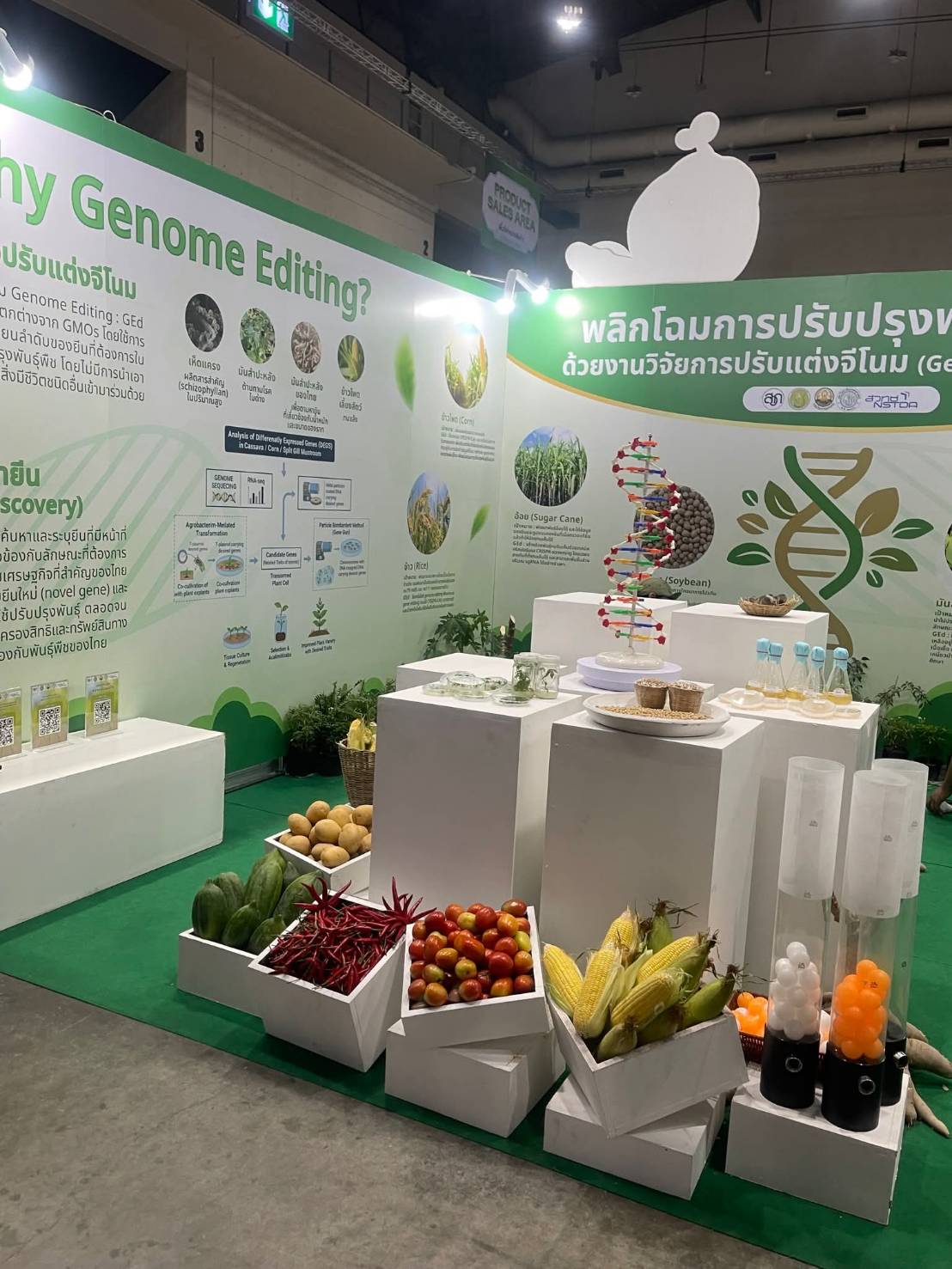 เรื่องเล่าของ ดร.เล็ก “Gene Editing ซ่อมของเดิม เสริมเกษตรไทย 987851