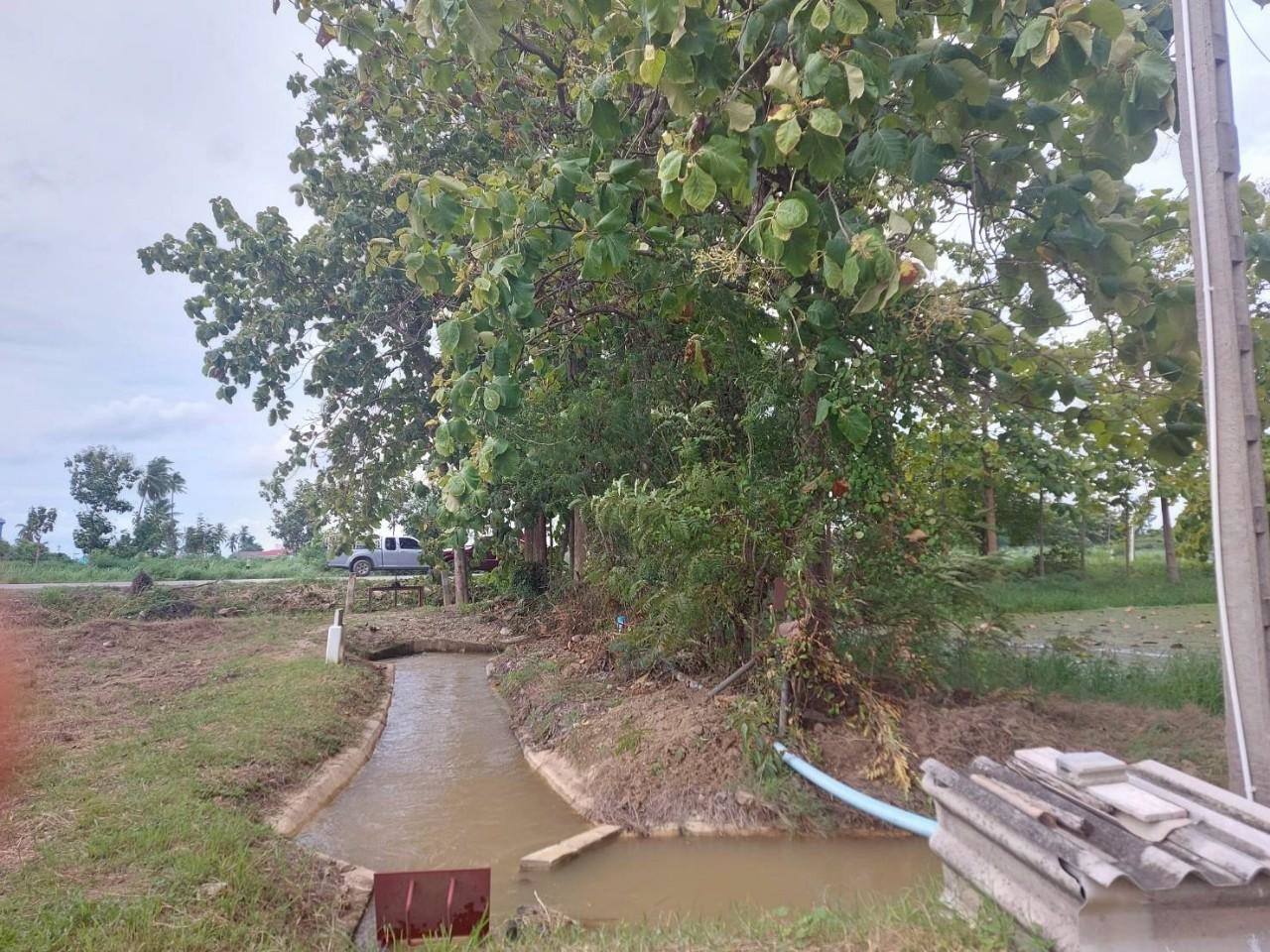 โครงการปรับปรุงคลองส่งน้ำ ท่ามะกา ระยะ 5 ช่วยเกษตรกร 40 ครัวเรือน ผลผลิตและรายได้เพิ่ม 3 LINE ALBUM งานปรับปรุงรูปที่ดินท่ามะกา ระยะ 5 จ.กา