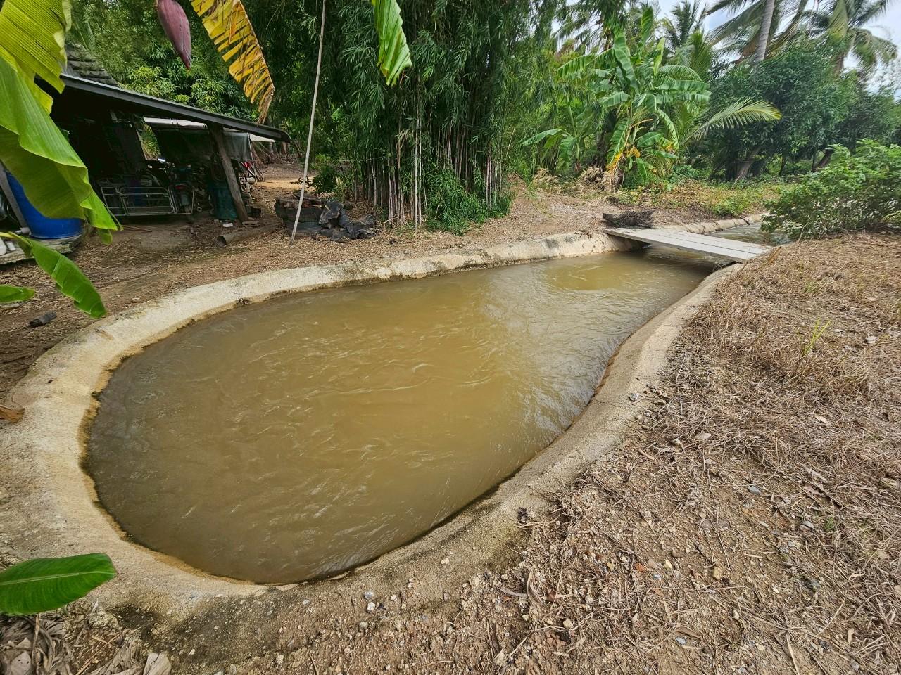 โครงการปรับปรุงคลองส่งน้ำ ท่ามะกา ระยะ 5 ช่วยเกษตรกร 40 ครัวเรือน ผลผลิตและรายได้เพิ่ม 7 LINE ALBUM งานปรับปรุงรูปที่ดินท่ามะกา ระยะ 5
