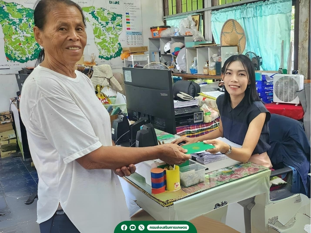 กรมส่งเสริมการเกษตร เผยคืบหน้า 15 กันยายน 2568 นี้ ส่งข้อมูลเกษตรกร โครงการไร่ละ 1,000 บาท ให้ ธ.ก.ส. เพิ่ม 3 S 1061961730