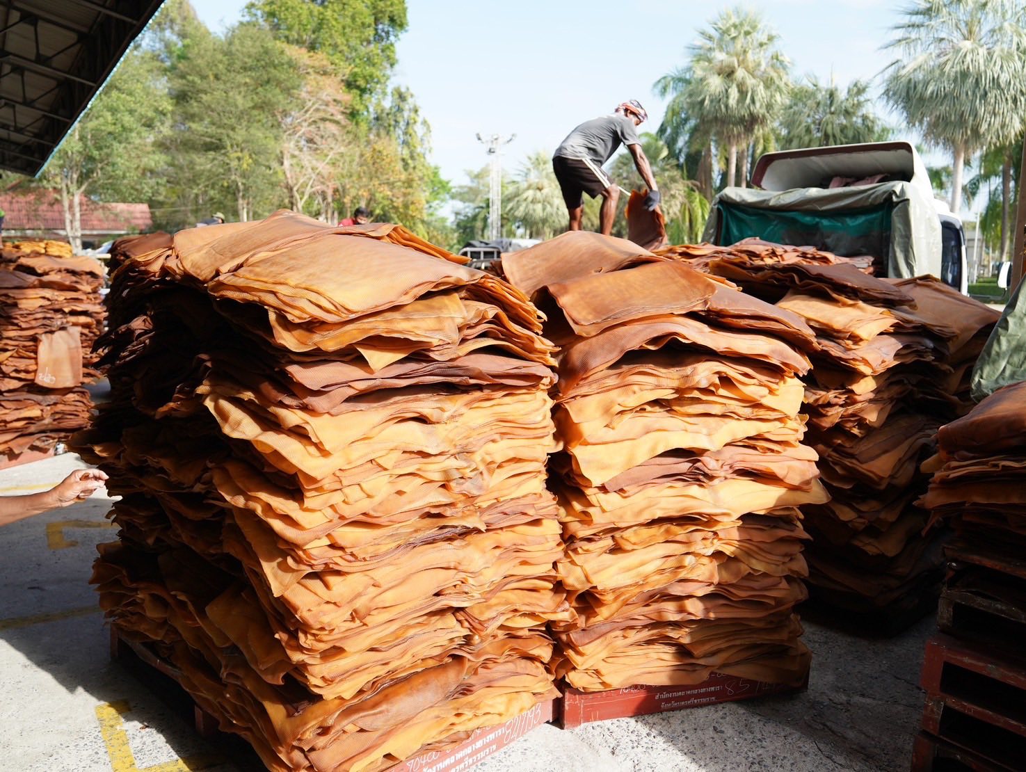 กรมส่งเสริมสหกรณ์ โชว์ผลงานเด่น มุ่งพัฒนาสหกรณ์ เกษตรกรเข้มแข็ง ด้วยนวัตกรรมและธรรมาภิบาล 10 S 136142924