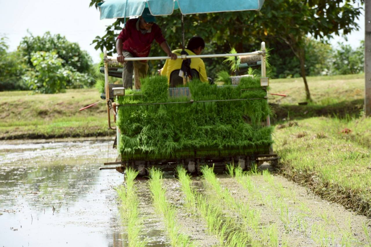กรมส่งเสริมสหกรณ์ โชว์ผลงานเด่น มุ่งพัฒนาสหกรณ์ เกษตรกรเข้มแข็ง ด้วยนวัตกรรมและธรรมาภิบาล 11 S 136142926