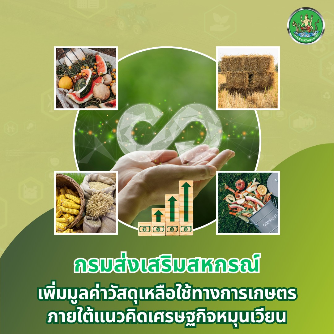 กรมส่งเสริมสหกรณ์ ยึดแนวคิดเศรษฐกิจหมุนเวียน สานต่อโครงการเพิ่มมูลค่าวัสดุเหลือใช้ทางการเกษตร ช่วยลดปัญหาขยะทางการเกษตร สร้างรายได้เสริมให้เกษตรกร และเป็นมิตรต่อสิ่งแวดล้อม 12 S 138199109