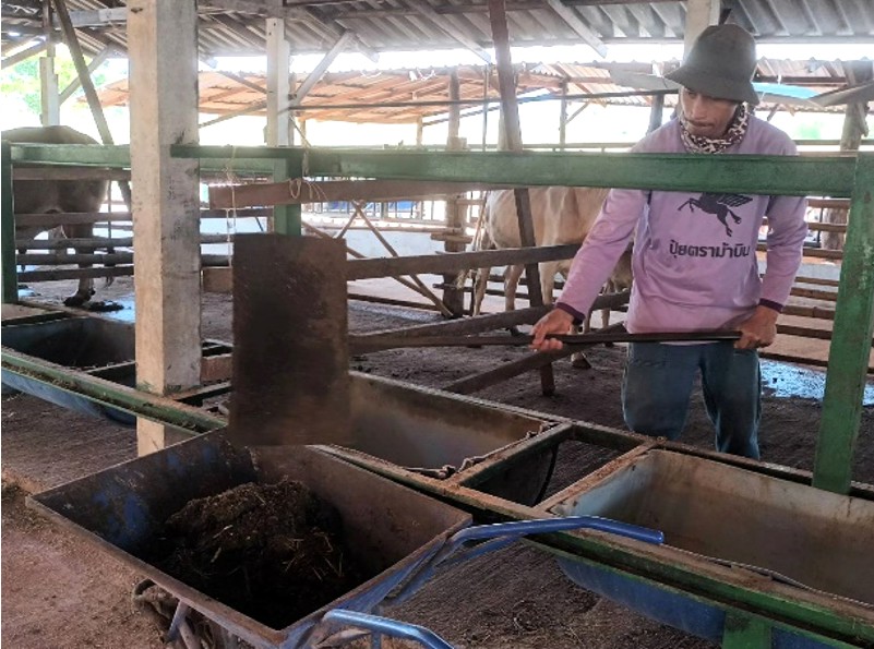 กรมส่งเสริมสหกรณ์ ยึดแนวคิดเศรษฐกิจหมุนเวียน สานต่อโครงการเพิ่มมูลค่าวัสดุเหลือใช้ทางการเกษตร ช่วยลดปัญหาขยะทางการเกษตร สร้างรายได้เสริมให้เกษตรกร และเป็นมิตรต่อสิ่งแวดล้อม 3 S 138199110