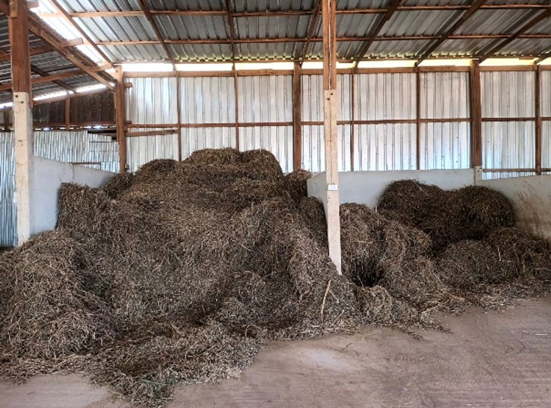 กรมส่งเสริมสหกรณ์ ยึดแนวคิดเศรษฐกิจหมุนเวียน สานต่อโครงการเพิ่มมูลค่าวัสดุเหลือใช้ทางการเกษตร ช่วยลดปัญหาขยะทางการเกษตร สร้างรายได้เสริมให้เกษตรกร และเป็นมิตรต่อสิ่งแวดล้อม 4 S 138199111