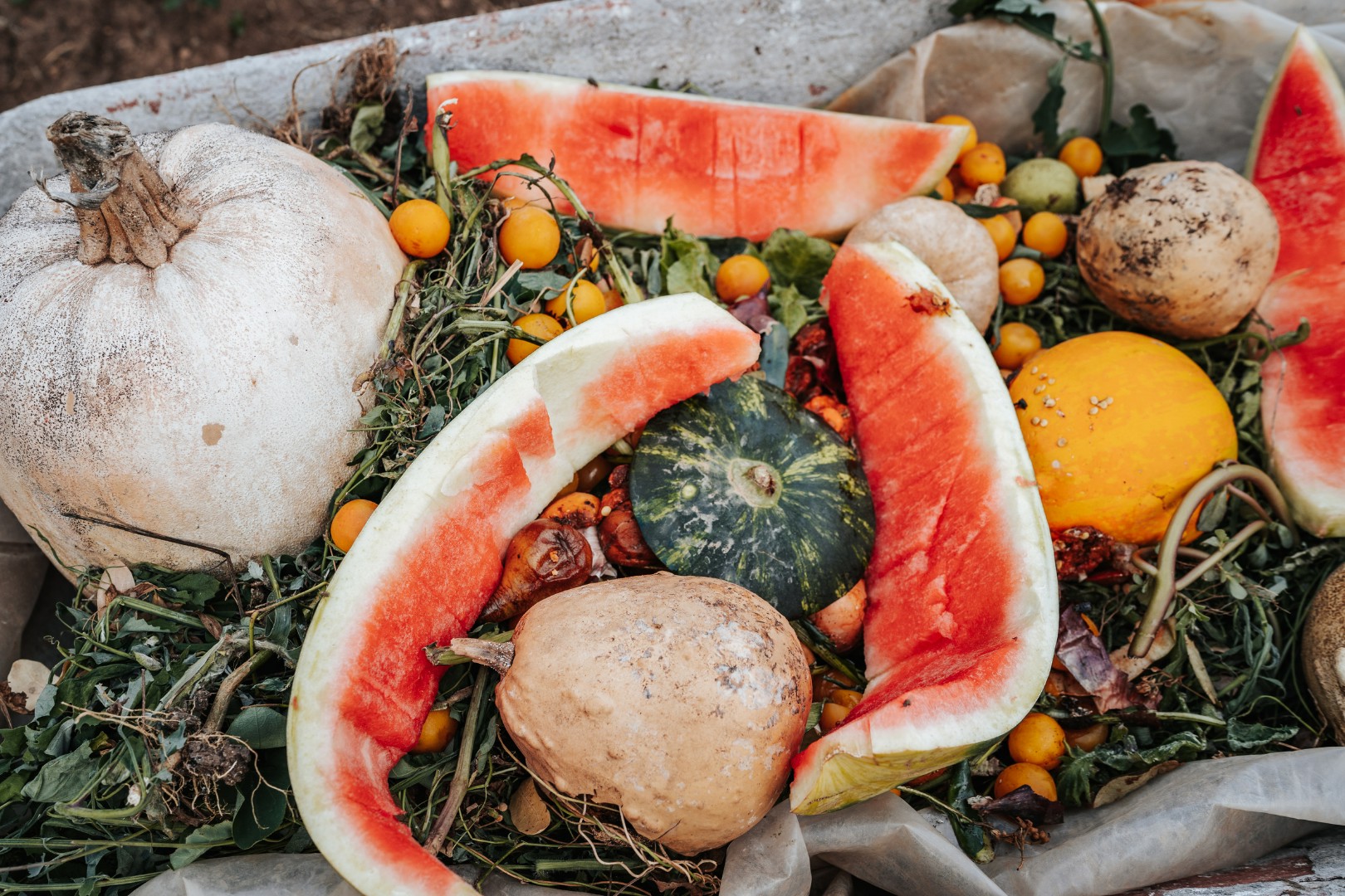 กรมส่งเสริมสหกรณ์ ยึดแนวคิดเศรษฐกิจหมุนเวียน สานต่อโครงการเพิ่มมูลค่าวัสดุเหลือใช้ทางการเกษตร ช่วยลดปัญหาขยะทางการเกษตร สร้างรายได้เสริมให้เกษตรกร และเป็นมิตรต่อสิ่งแวดล้อม 11 S 138199118